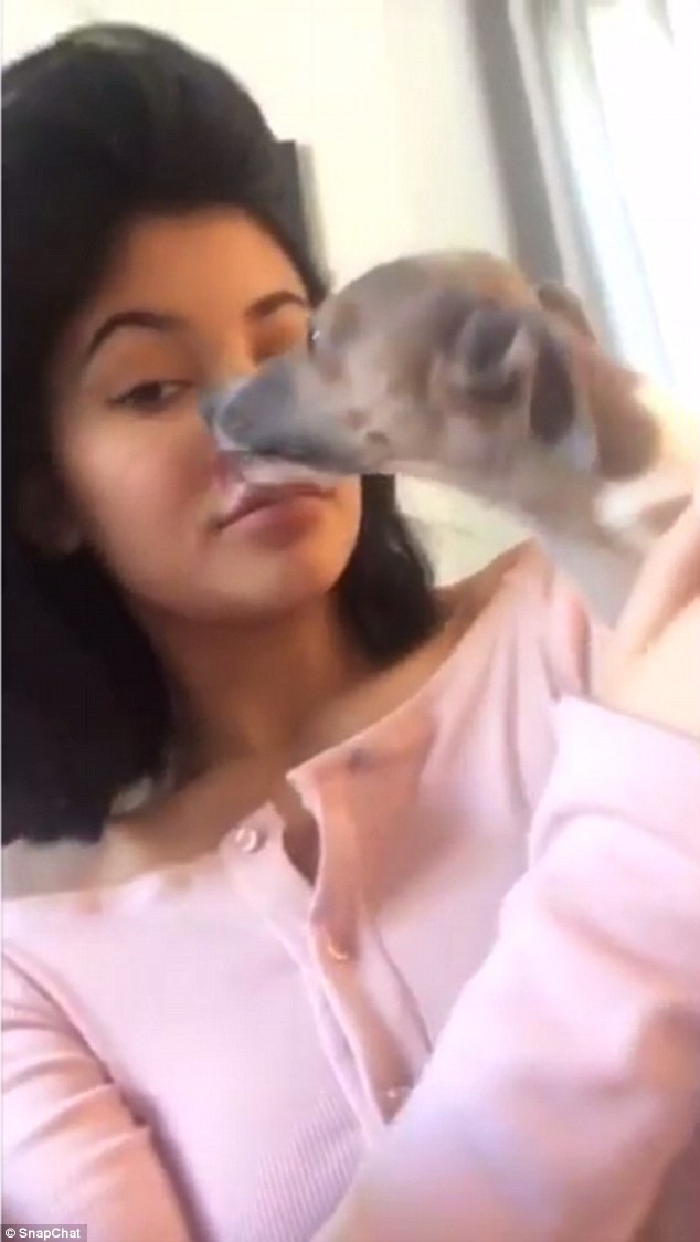 Two girls share a bukkake video