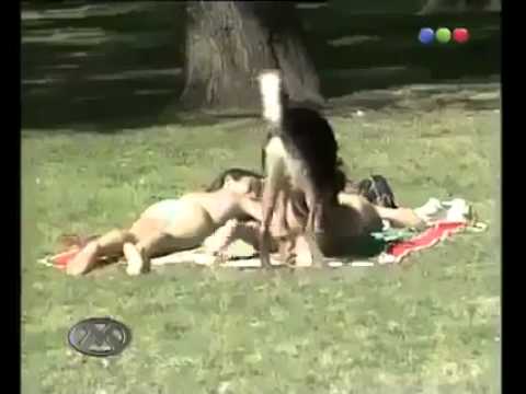 Free wild milf trailers